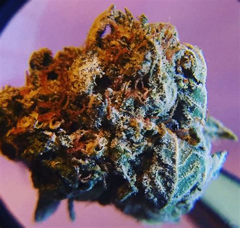 Cannabis Strain Review: Berry White | HuffPost