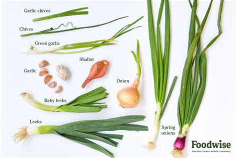 Layers of Flavor: Farmers Market Guide to Alliums : Foodwise