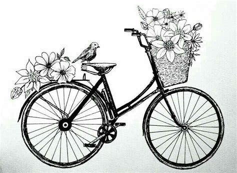 Pin by Elsa♡ on pen art/ doodles | Vintage drawing, Bike drawing, Bicycle sketch