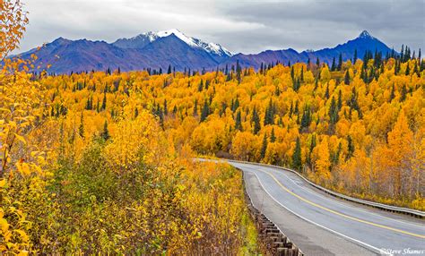 Parks Highway Alaska | along the George Parks Highway, Alaska | Steve Shames Photo Gallery