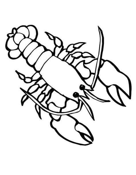 Collection of Lobster clipart | Free download best Lobster clipart on ClipArtMag.com