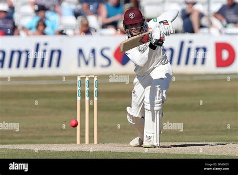 Tom Abell in batting action for Somerset during Essex CCC vs Somerset CCC, Specsavers County ...