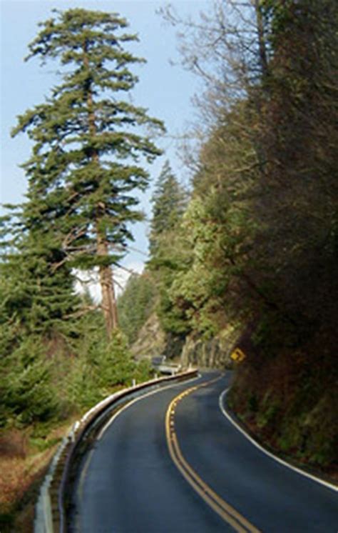 Scenic Chuckanut Drive | Places to travel, Places to see, Scenery pictures