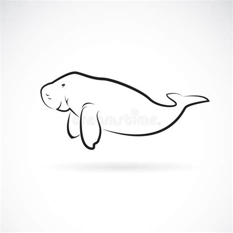 Aquatic Animals Dugong Drawing Illustration. Stock Illustration - Illustration of cartoon, wild ...