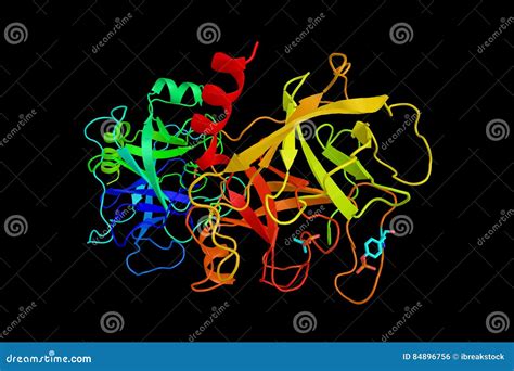 Trypsin, A Serine Protease Found In The Digestive System Of Many Stock Photo - Image of serine ...