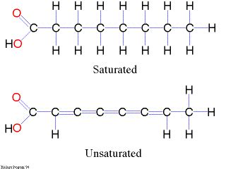 Lipid monomers | Chemistry, School resources, Sample resume