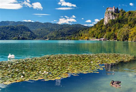 30 Beautiful Lake Bled Photos To Inspire You To Visit Slovenia