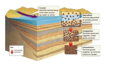 Sedimentary Rocks