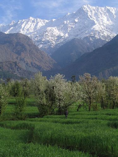 Kangra Valley views India | The fertile Kangra Valley near D… | Flickr