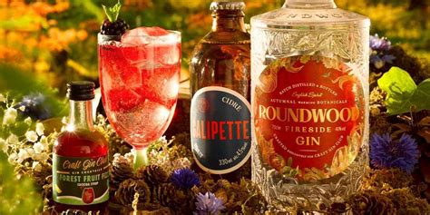 Craft Gin Club's September 2023 Cocktail of the Month is made with gin and cider! - Craft Gin ...