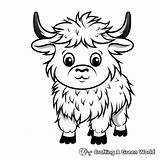 Yak Coloring Pages  Free & Printable sketch template