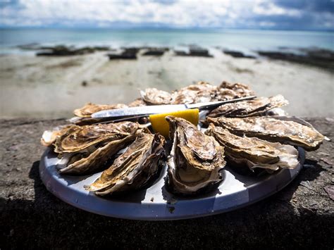 Does Harvesting a Pearl Kill the Oyster? | by Sam Westreich, PhD | Sharing Science | Medium