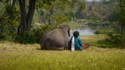 Mudumalai Tiger Reserve