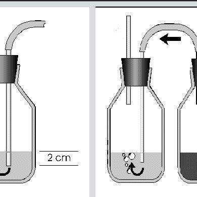 (PDF) The Heimlich Valve for Pleural Cavity Drainage