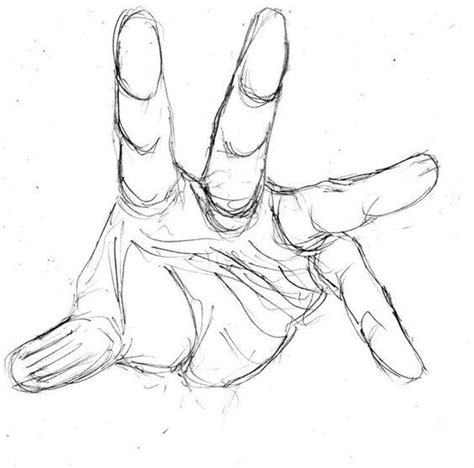 Hand Hand Drawing Reference, Drawing Hands, Art Reference Photos, Arm ...