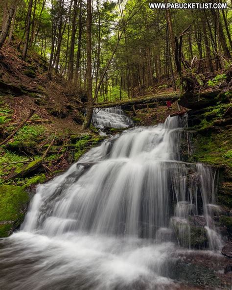 30 Must-See Waterfalls in Tioga County PA