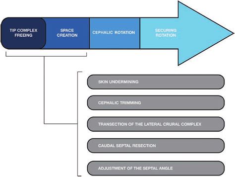 illustration of basic maneuvers and sequence of methods and techniques.... | Download Scientific ...