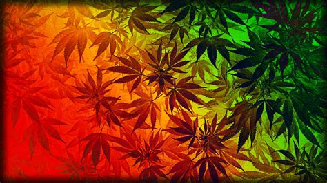 [200+] Weed Wallpapers | Wallpapers.com