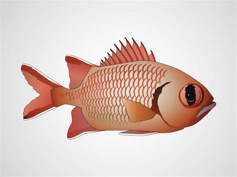 Vector Fish Vector Art & Graphics | freevector.com