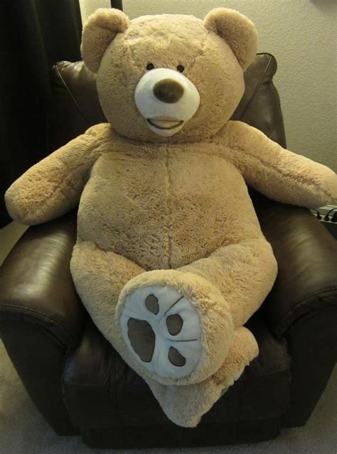 Teddy Bear on Pinterest | Teddy Bears, Teddy Bear Crafts and ... in 2024 | Teddy bear plush ...