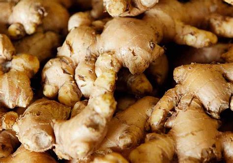 Ginger Farming (Organic), Planting, Harvesting, Yield – Kweratz Global