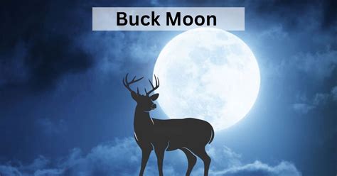 July 2023 Full Moon: What is July’s Buck Moon? Explained Here