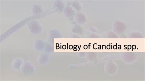 Chronic mucocutaneous candidiasis