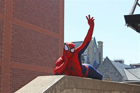 Free stock photo of funny, marvel, spider man