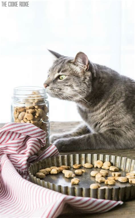 Homemade Cat Treats Recipe - 3 Ingredient Salmon Cat Treats