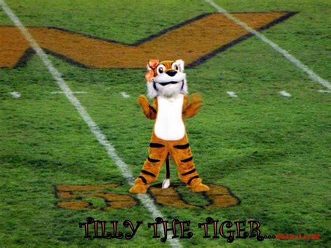 WASCO HIGH SCHOOL MASCOT.... TILLY | Funny animal memes, High school mascots, Mascot