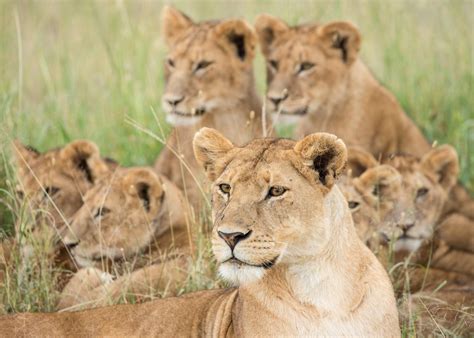 Visit Hwange National Park in Zimbabwe | Audley Travel