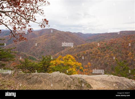 Fall color in Virginia Stock Photo - Alamy