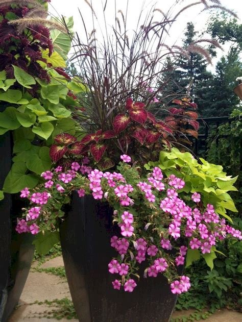 front porch planter ideas full sun - Lottie Toro