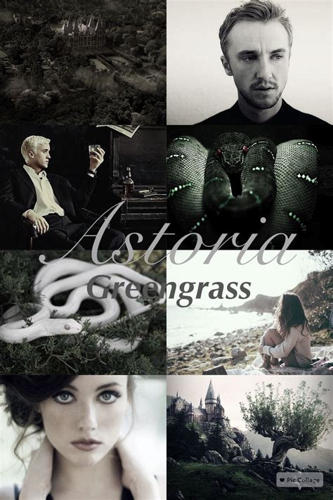 Astoria Greengrass | Harry potter universal, Harry potter characters, Harry potter