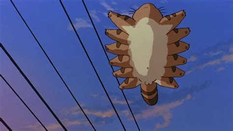 In My Neighbor Totoro the cat bus has balls. : r/MovieDetails