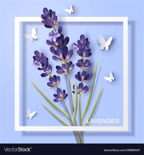 Lavender flower design Royalty Free Vector Image