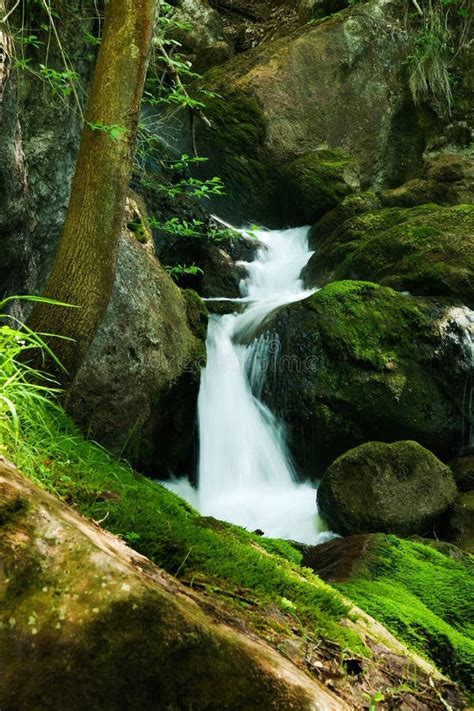 Cascade with Mossy Rocks in Forest Stock Image - Image of peaceful, outdoor: 26625285