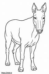 Bull Terrier Cute coloring Page sketch template