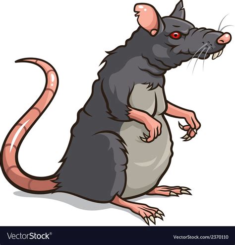 Rat Royalty Free Vector Image - VectorStock