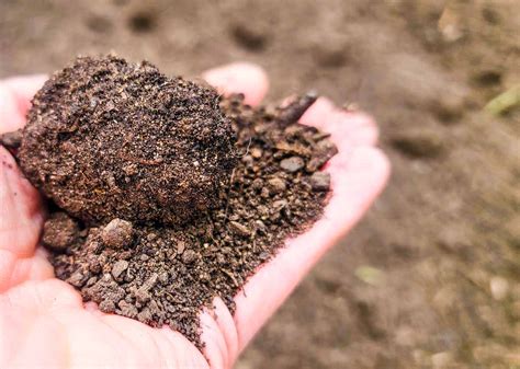 DIY Compost Starter - Compost Accelerator Recipe - The Hobby Wife