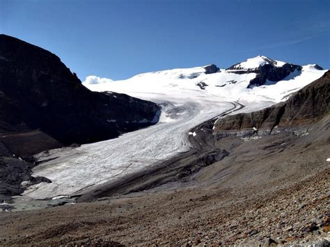 Peyto Glacier, Pacific Coast Range – world glacier monitoring service