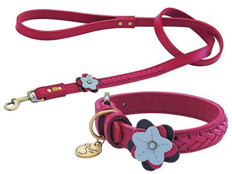 Custom Dog Collars and Leashes Set Cute Dog Collar and Dog - Etsy