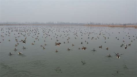 Aerial View of the Hokersar Wetland in Jammu and Kashmir, India Free ...