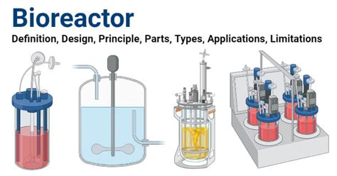 Bioreactor- Definition, Design, Principle, Parts, Types, Applications, Limitations (2023)