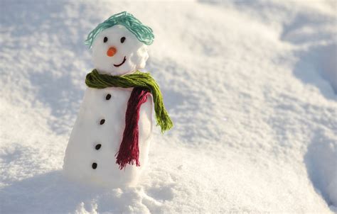 Wallpaper winter, snow, snowman, happy, winter, snow, day, snowman images for desktop, section ...