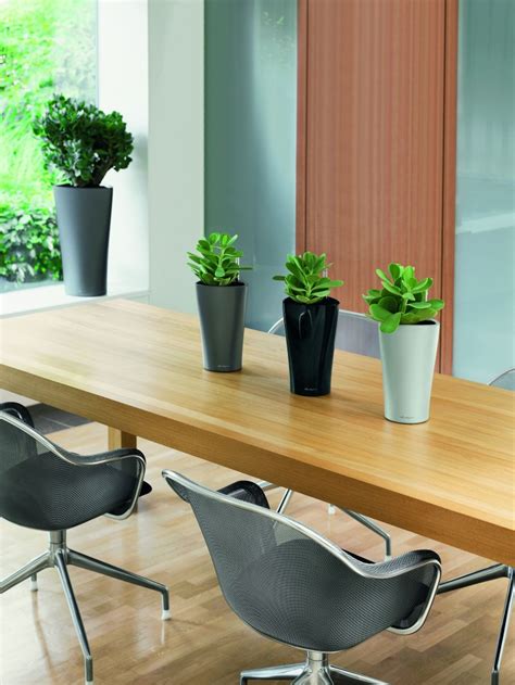 The10 Best Office Plants - Metropolitan Wholesale | Metropolitan Wholesale