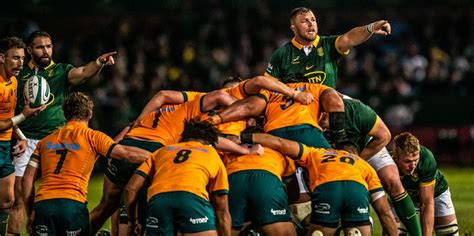 Springbok plan comes together in stirring victory - Vodacom Bulls