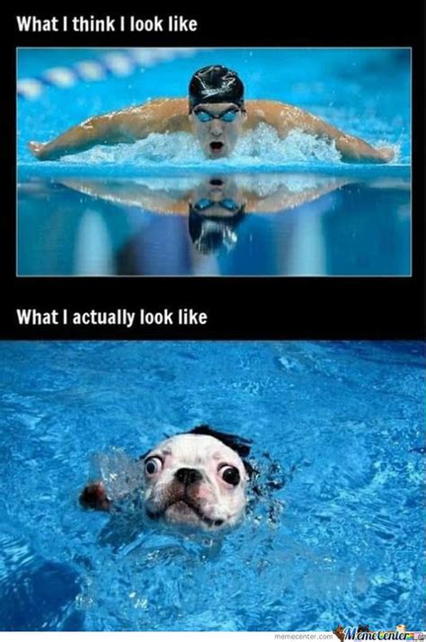 Swimming Meme Funny at Kevin Smyth blog