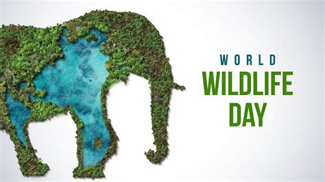 World Wildlife Day 2024 Date: Theme, Origin, History, Importance, How To Celebrate, Key Facts ...