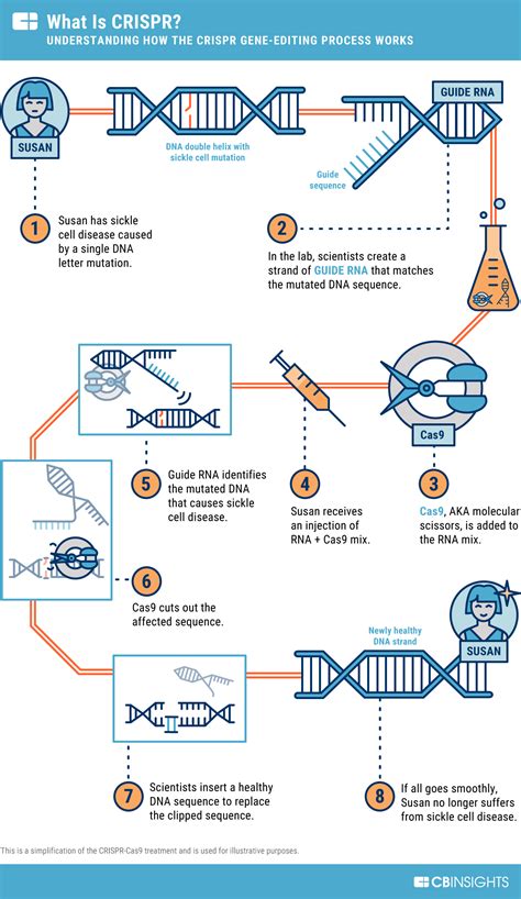 Crispr Cas 9 Flow Chart | My XXX Hot Girl